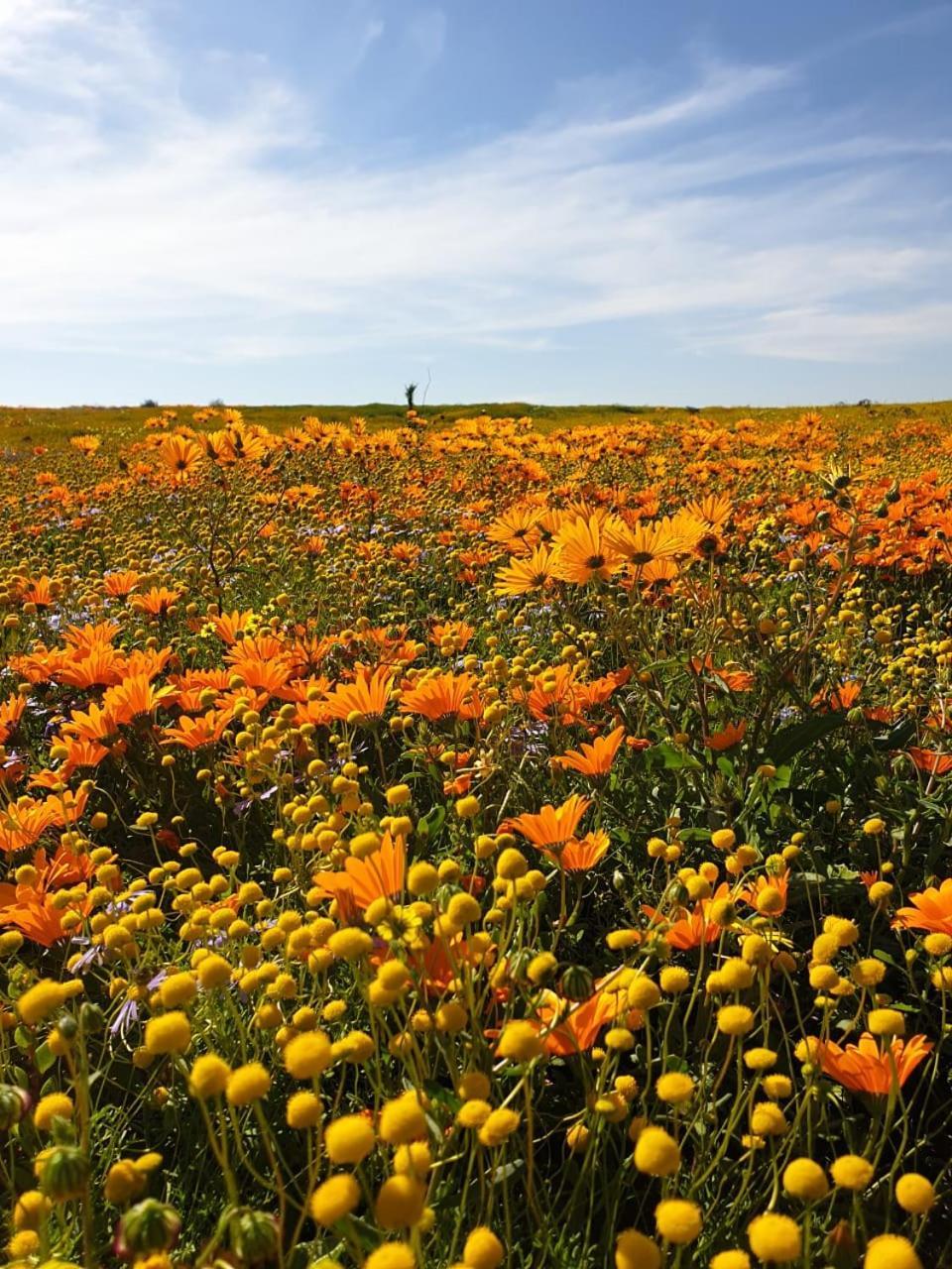 Namaqualand Eco Lodge Soebatsfontein Eksteriør billede